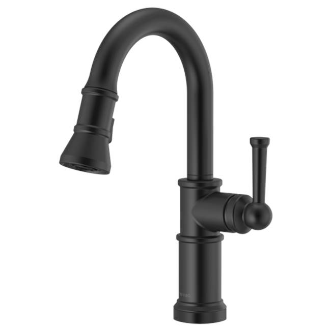 Artesso® Pull-Down Prep Faucet-related