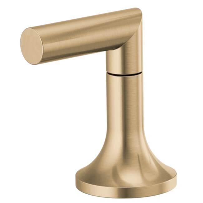 Roman Tub Lever Handle-shop