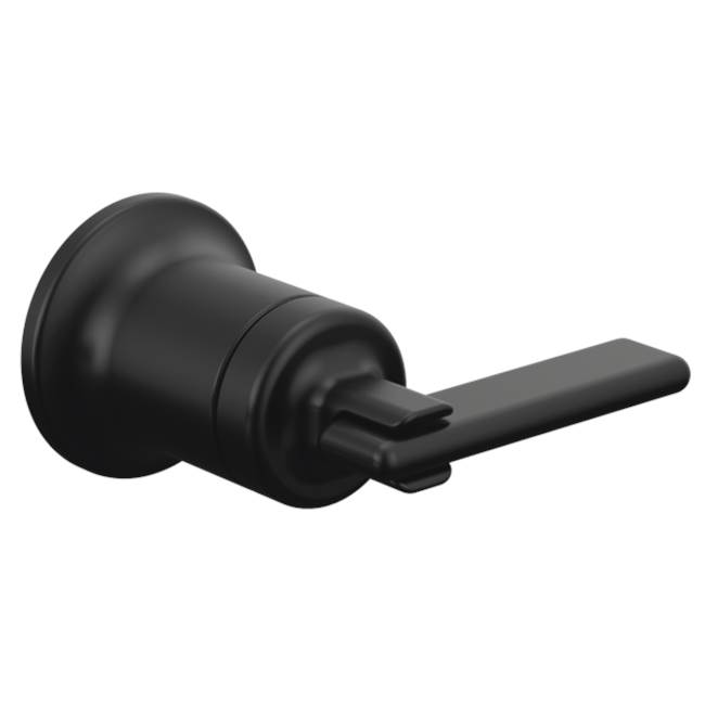 Allaria™ Two-Hole, Single-Handle Wall Mount Lavatory Faucet Lever Handle Kit-shop