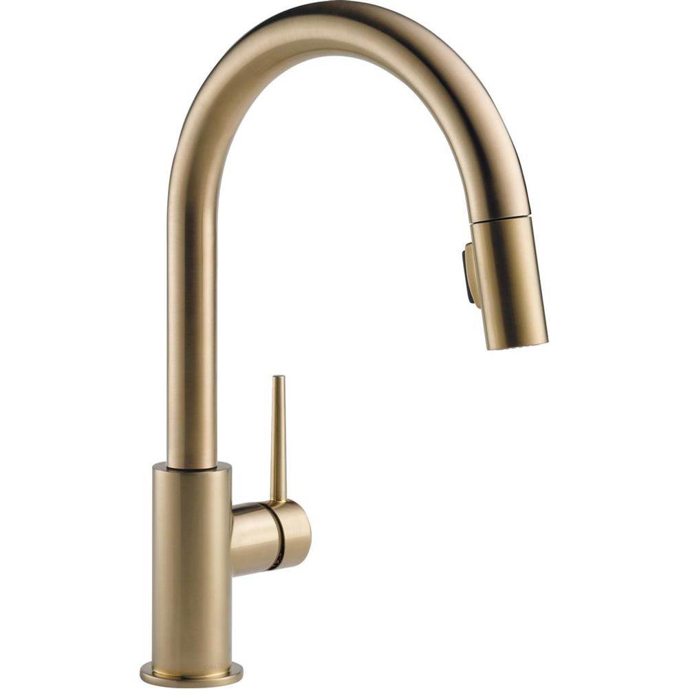 Trinsic? Single Handle Pull-Down Kitchen Faucet-shop