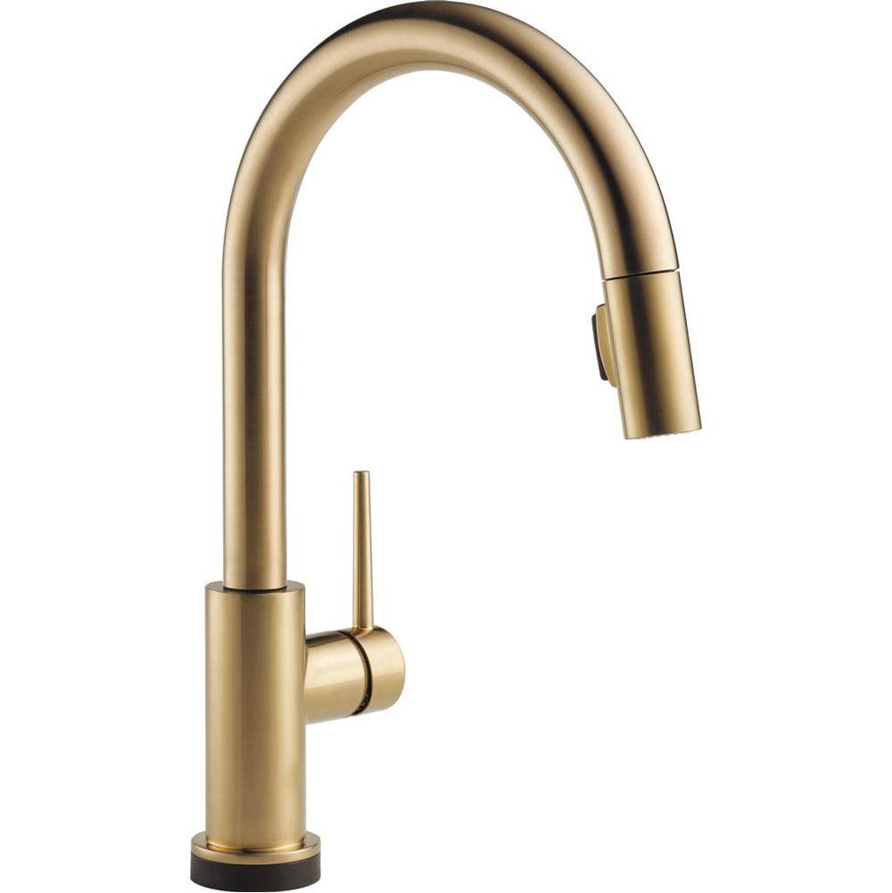 Trinsic? Single Handle Pull-Down Kitchen Faucet with Touch<sub>2</sub>O? Technolo-related