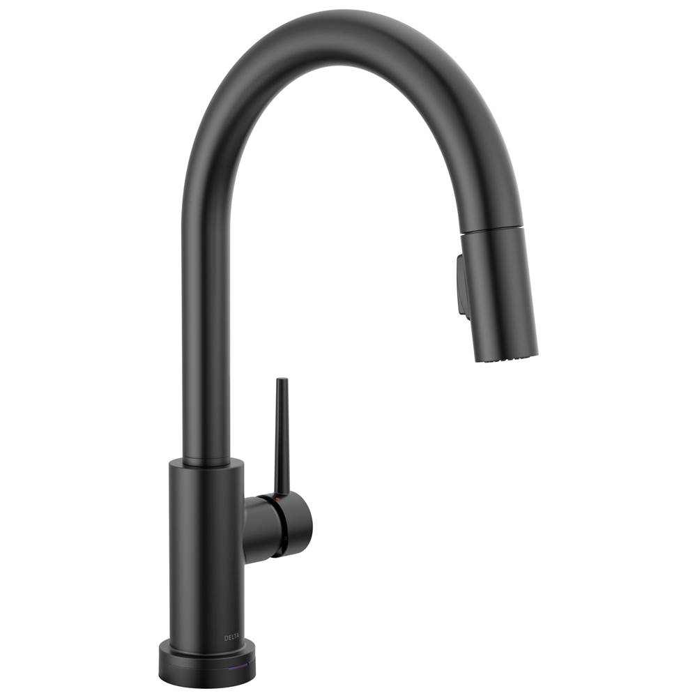 Trinsic? Touch2O? Kitchen Faucet with Touchless Technology-related