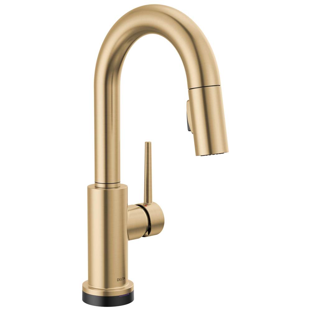 Trinsic? Touch2O? Bar / Prep Faucet with Touchless Technology-shop