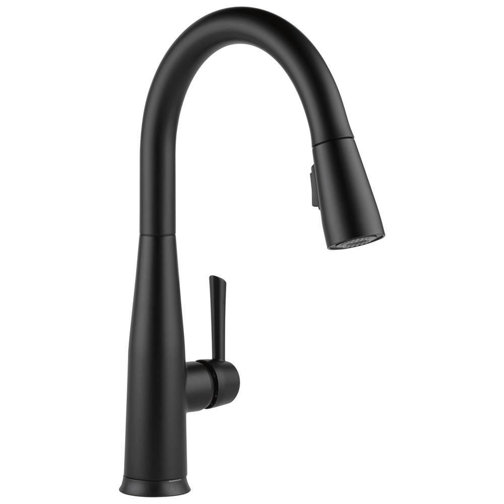 Essa? VoiceIQ? Single Handle Pull-Down Faucet with Touch2O? Technology-shop