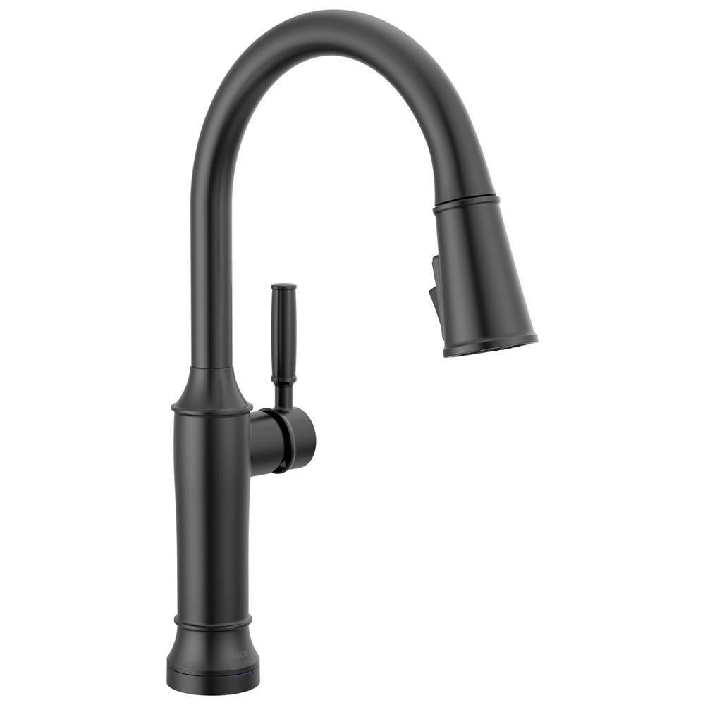 Renaldi? Touch2O? Kitchen Faucet with Touchless Technology-related