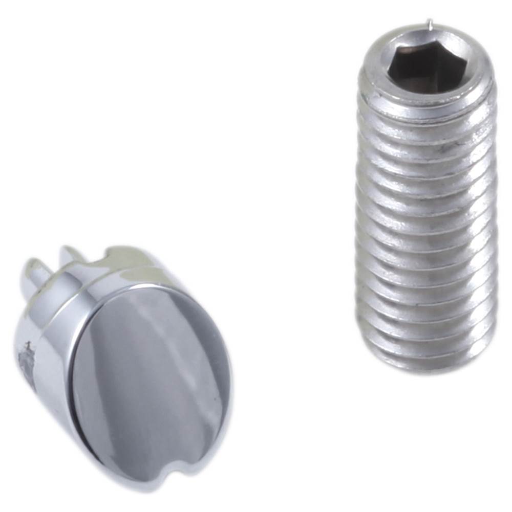 Cassidy? Set Screw & Button - Diverter-shop