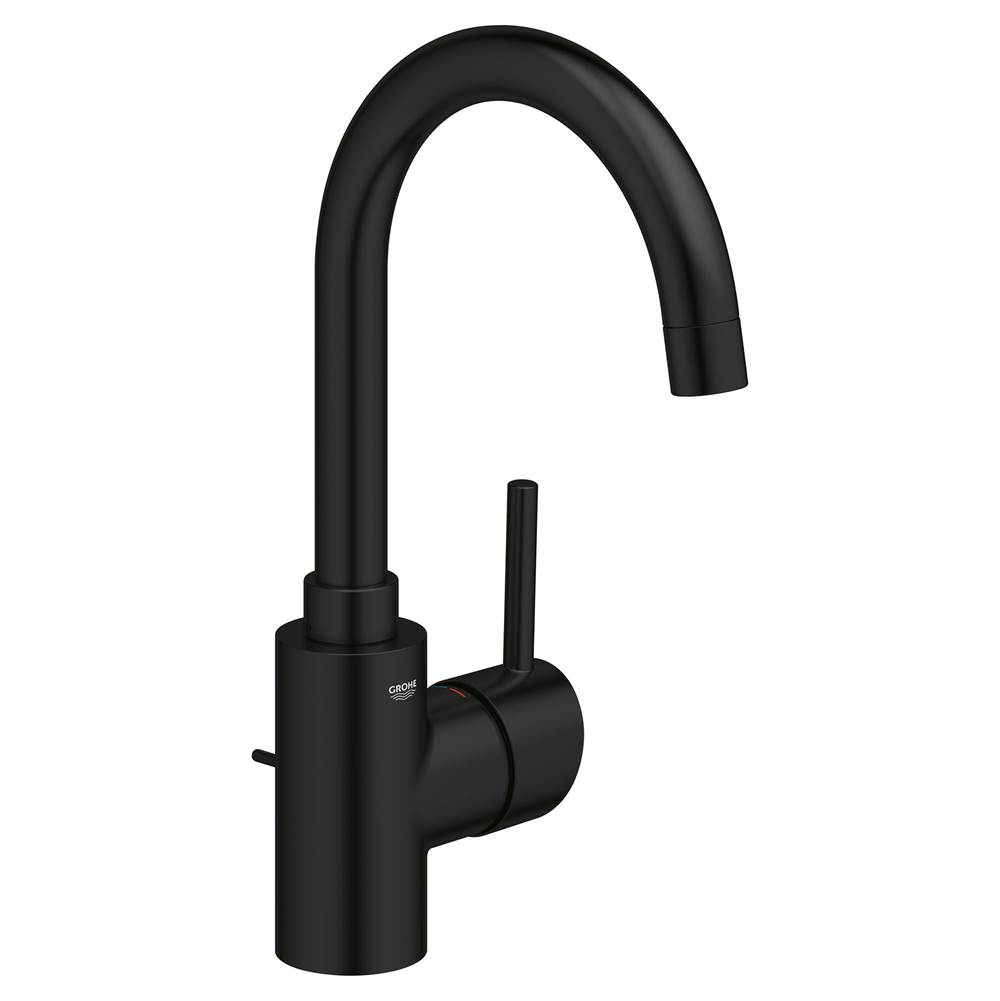 Single Hole Single-Handle L-Size Bathroom Faucet 4.5 L/min (1.2 gpm)-related