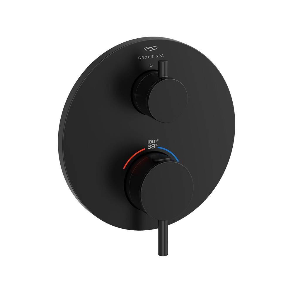 Dual Function 2-Handle Thermostatic Valve Trim-related