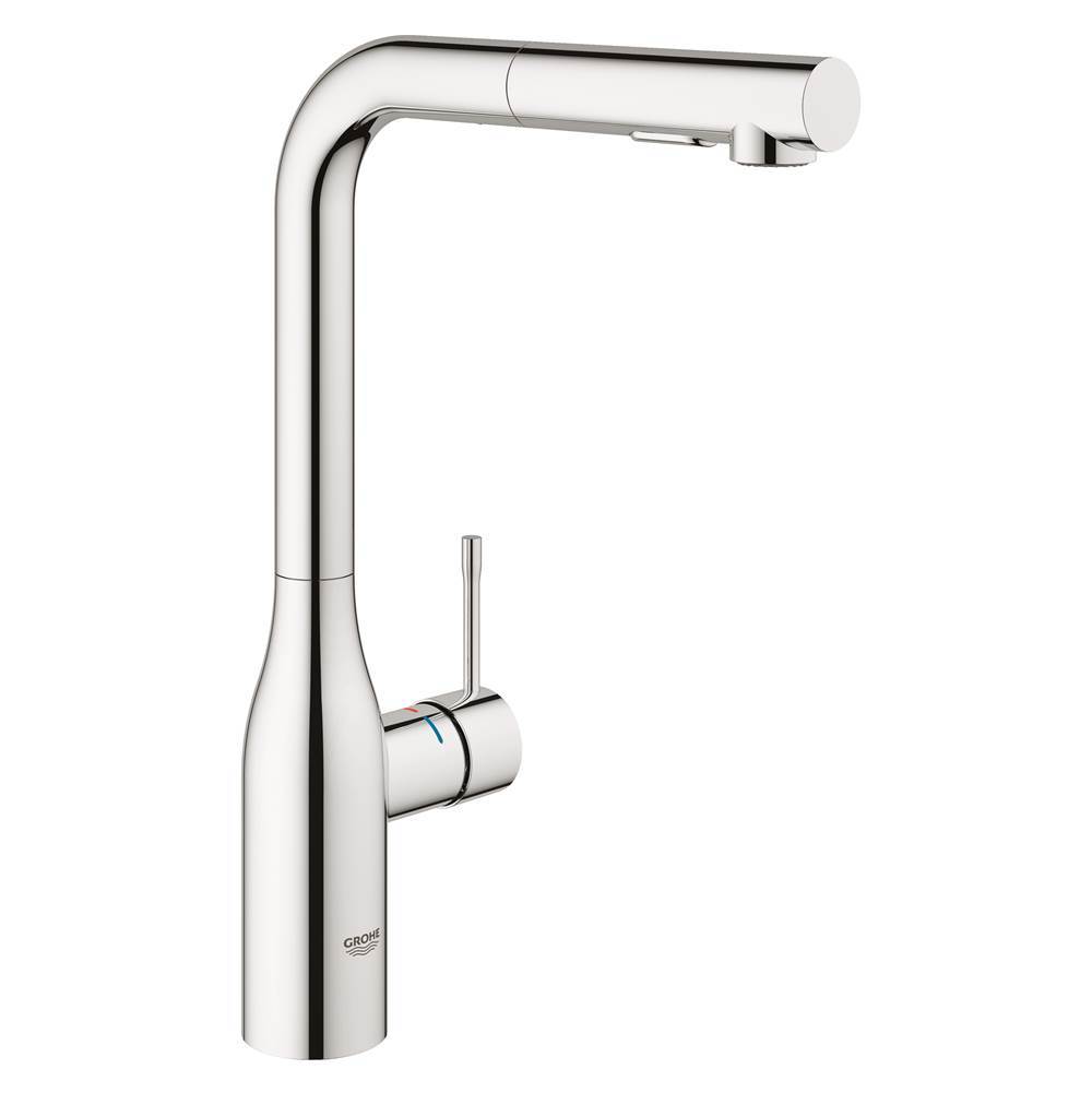 Single Handle Pull Out Kitchen Faucet Dual Spray 66 L min 175 gpm-shop