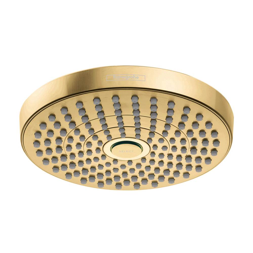 Showerhead 180 2-Jet, 1.8 Gpm-shop