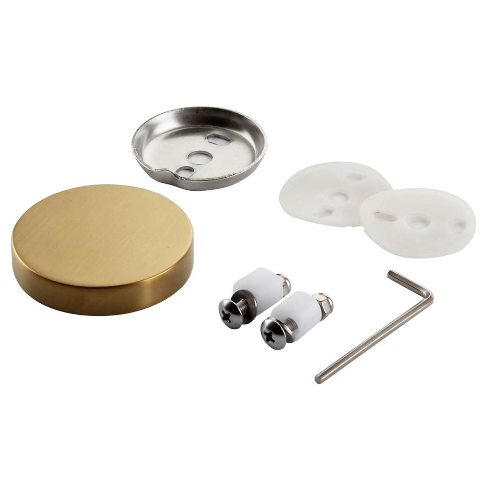 ICO Bath Glass Mounting Kit (Ember, Glow, Lava, Summit) - PVD Brushed Gold-shop