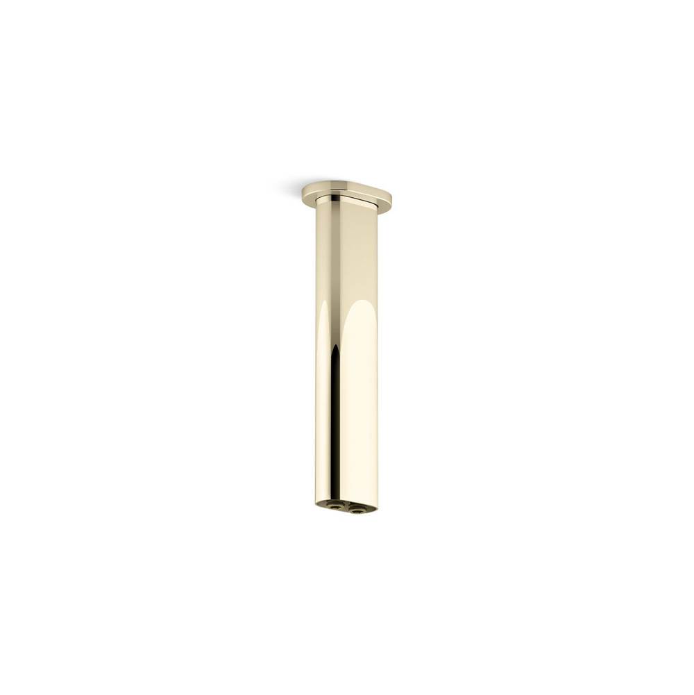Statement® 10'' ceiling-mount two-function rainhead arm and flange-shop