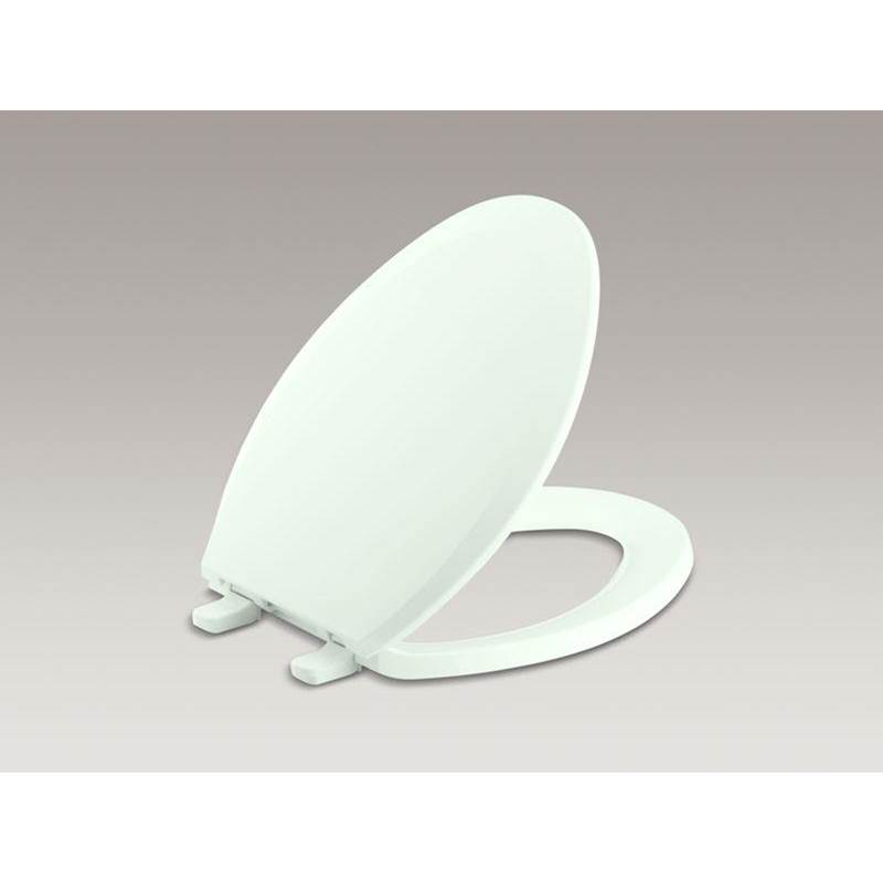 Lustra™ Quick-Release™ elongated toilet seat-shop
