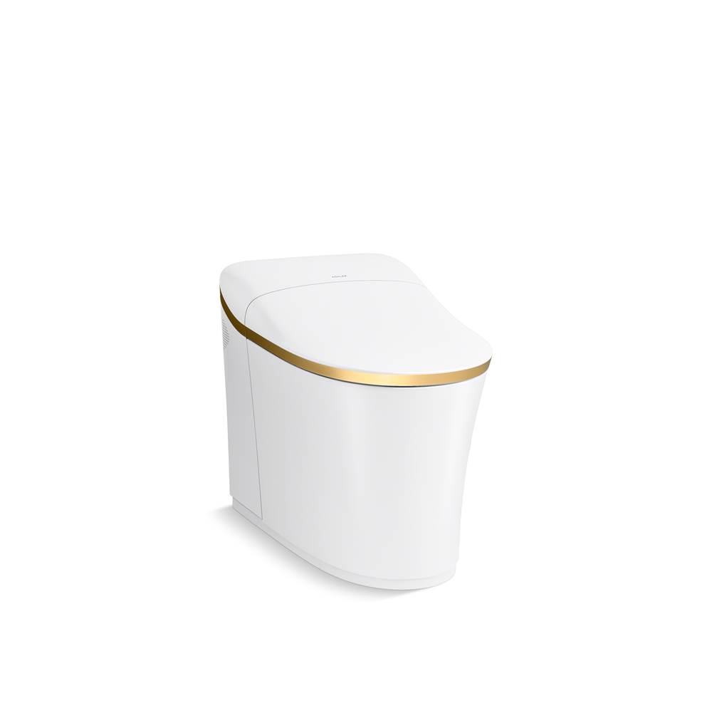 Eir One-Piece Elongated Smart Toilet Dual-Flush-related