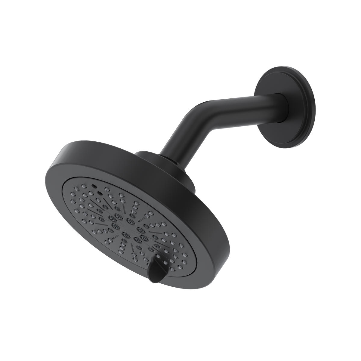 5'' 6-Function Showerhead With Arm-related
